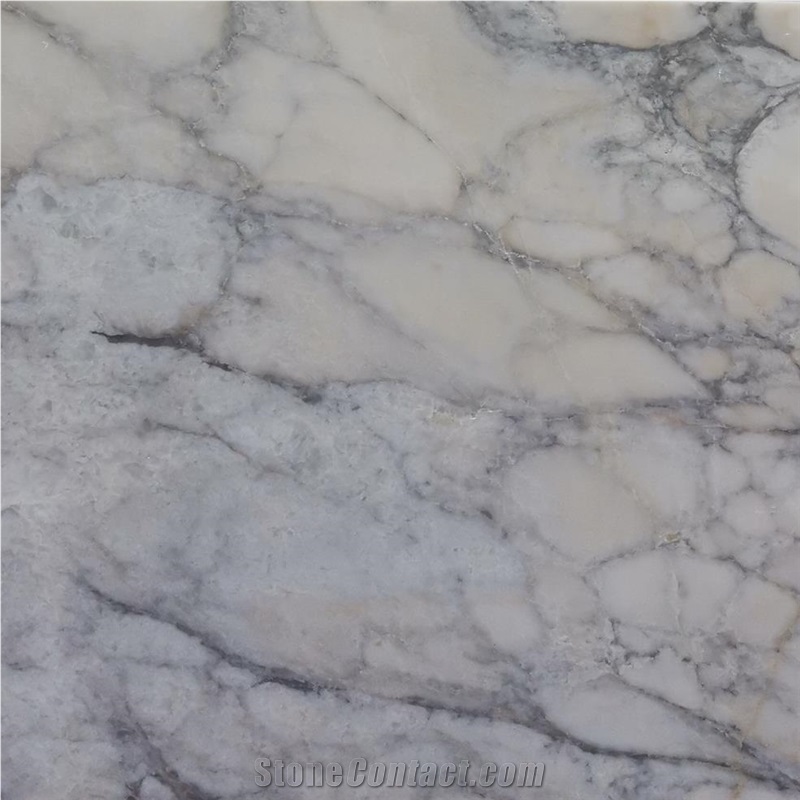 Breccia Viola Marble Tile