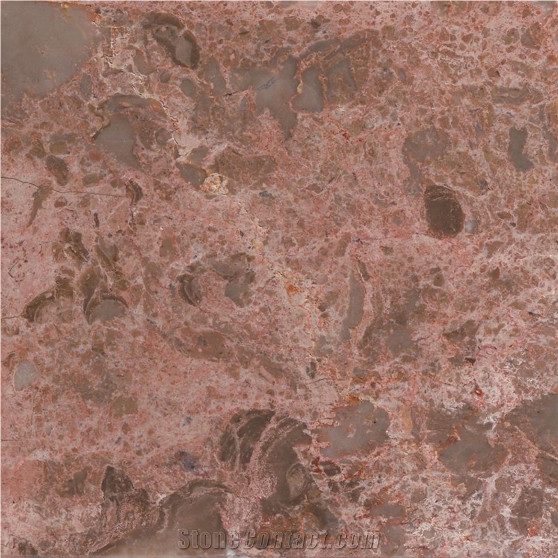 Brecha do Algarve Limestone importance=