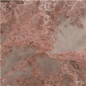 Brecha do Algarve Limestone Tile