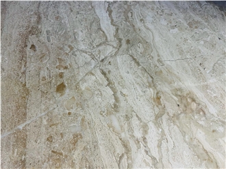 Dino Beige Marble Slab