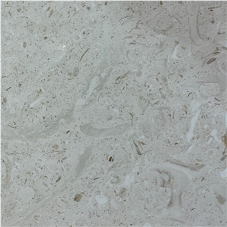 Fossil Cream Marble