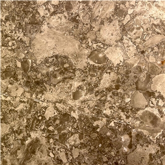 Menes Golden Brown Marble