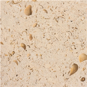 Texas Shell Stone