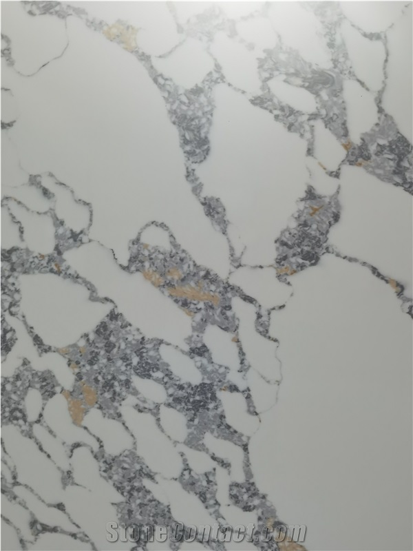 Rich Edge Process 5091 Calacatta Paonazzo Kitchen Countertop