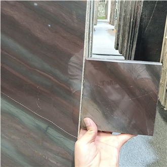 Luxury Elegant Brown Quartzite Slabs For Hotel