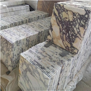 Italy Calacatta Viola Flooring Wall Tiles