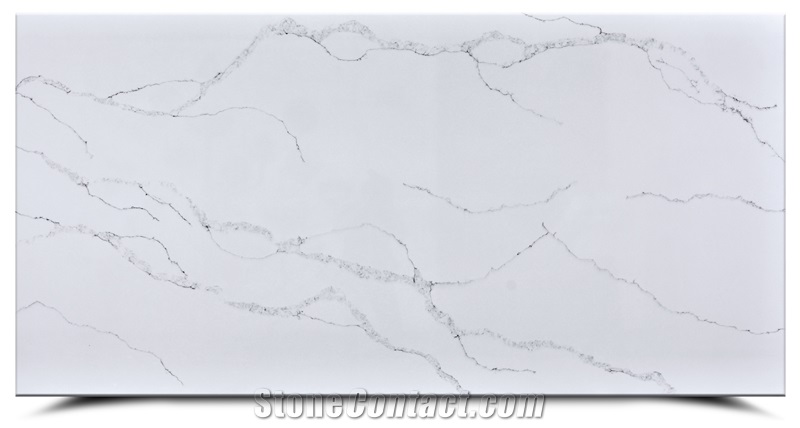 Calacatta Snow Quartz Slabs AQ6240