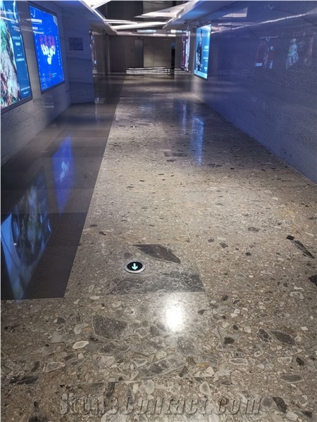 Grey Conglomerate Polished/Rough Slabs & Tiles