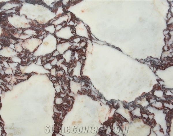 Calacatta Viola Marble