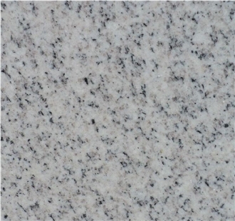 Shandong White G365 Granite Slab Tiles