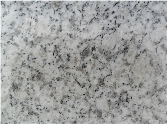 Shandong White G365 Granite Slab Tiles