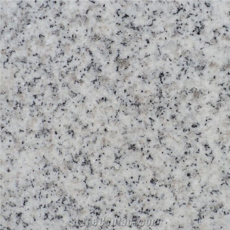 Shandong White G365 Granite Slab Tiles