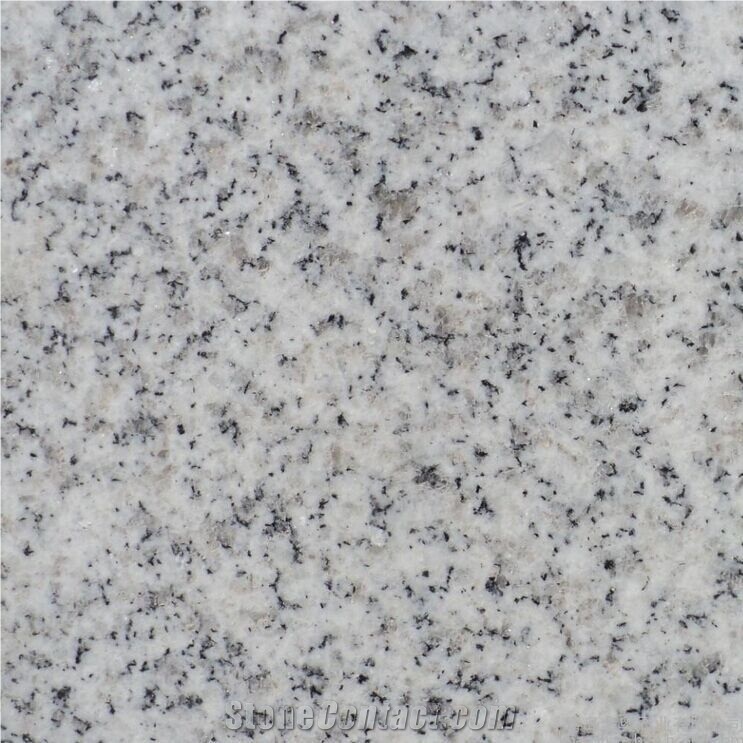Shandong White G365 Granite Slab Tiles