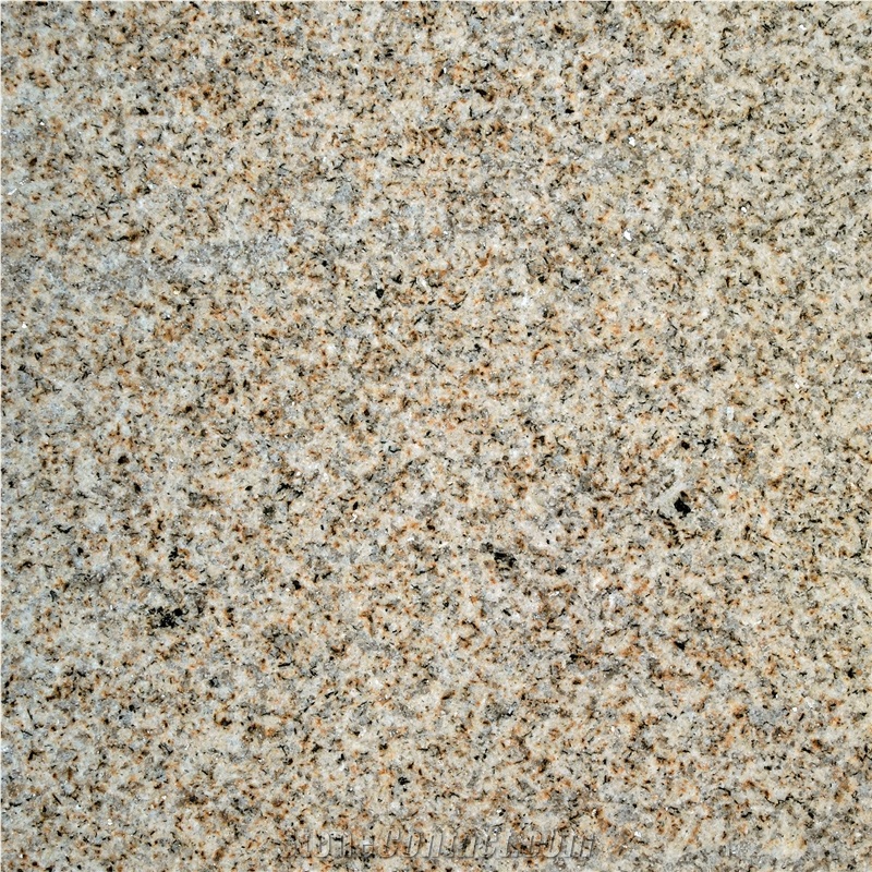 Silvestre Moreno Caniza Granite Honed, Sandblasted Tiles