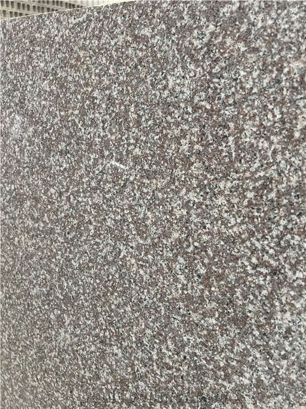 G664 Granite Royal Bronze 5/6Cm Slabs