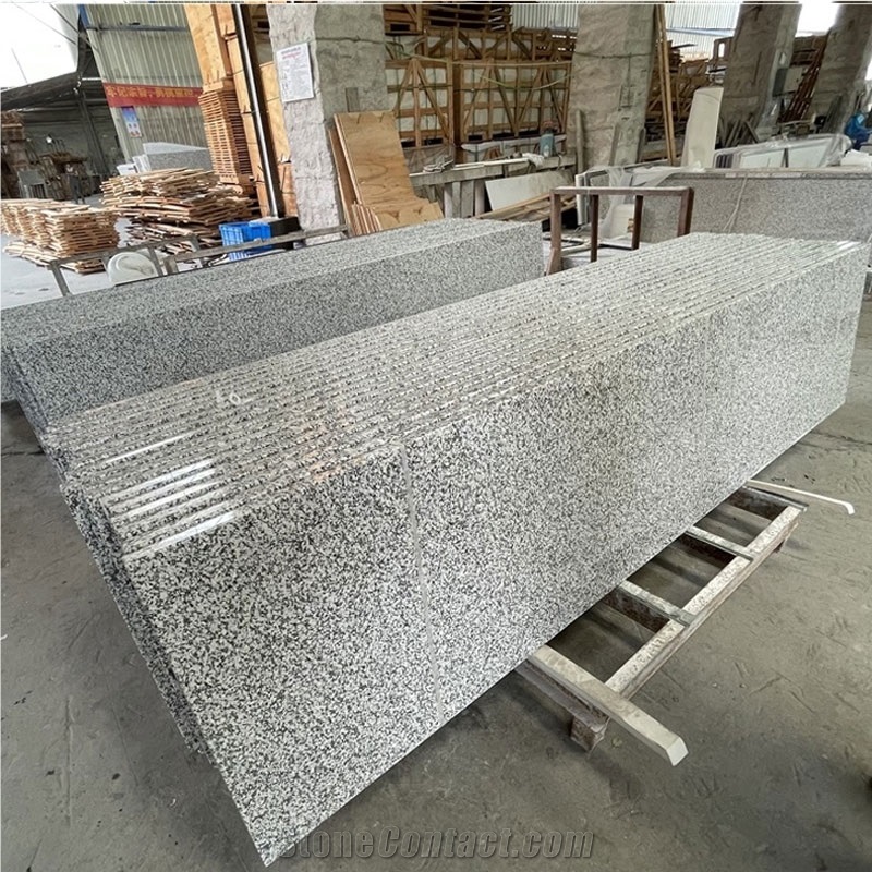 Italy Bianco Sardo Granite Good Price Countertop