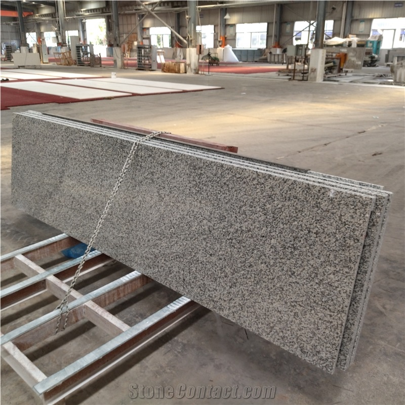 Italy Bianco Sardo Granite Good Price Countertop