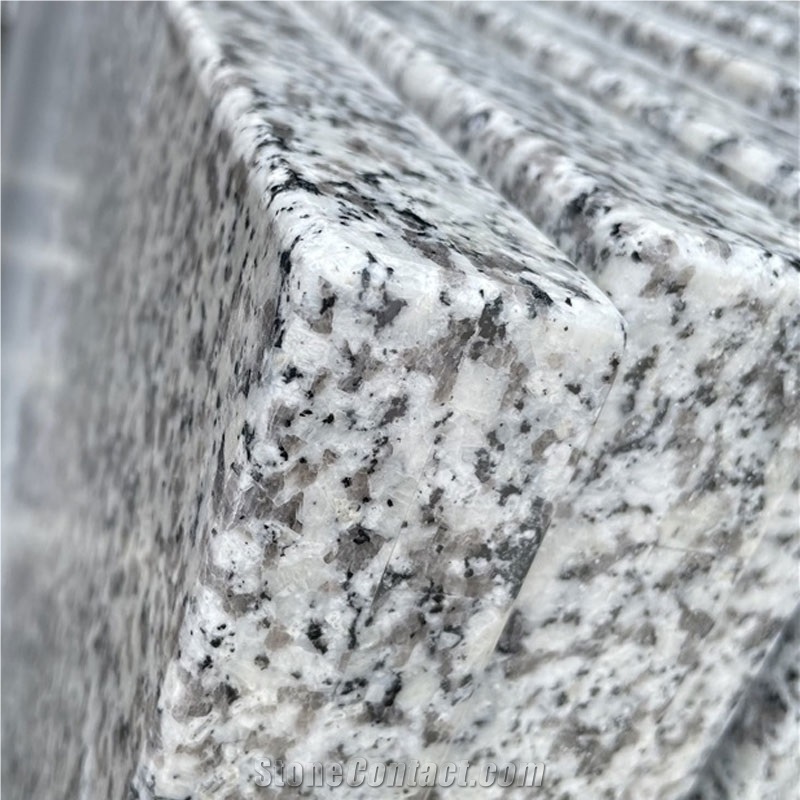 Italy Bianco Sardo Granite Good Price Countertop