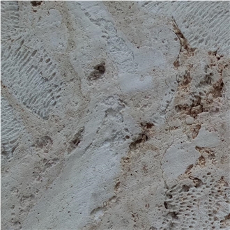 Calypso Coral Stone