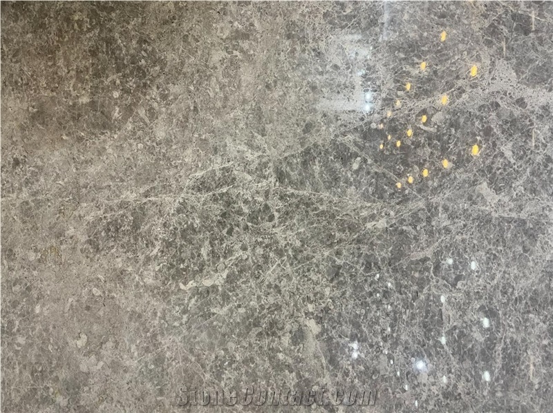 Dolphin Blue Marble Slab