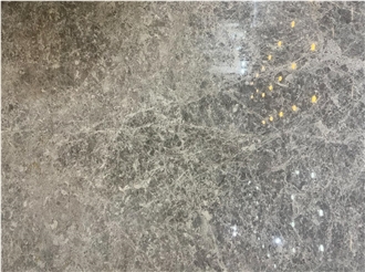 Dolphin Blue Marble Slab