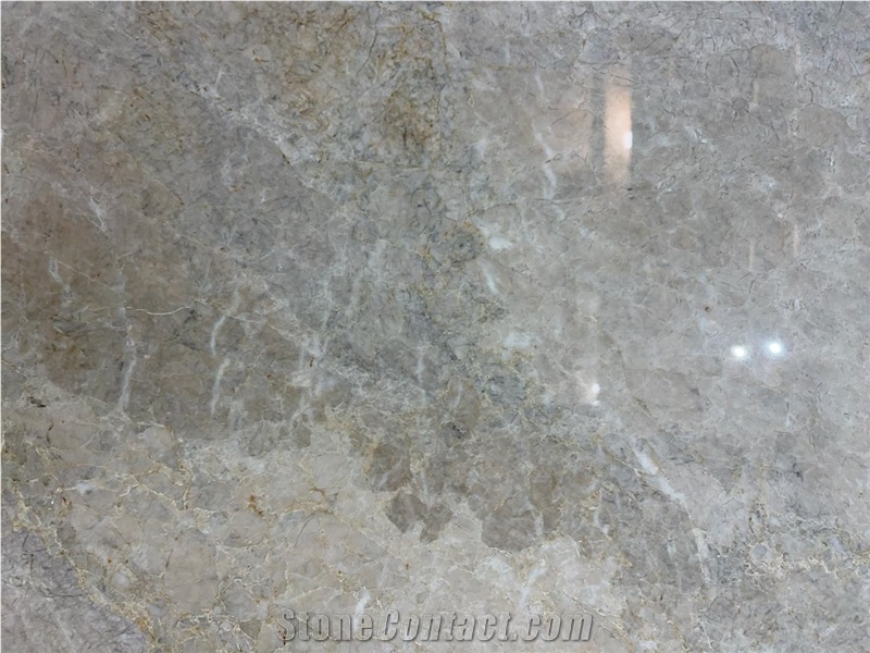 Grey Diana Marble Slab