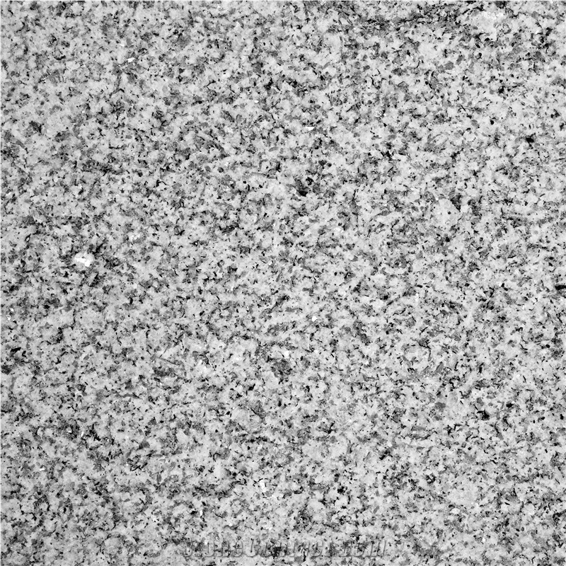Gris Alba Granite Tile