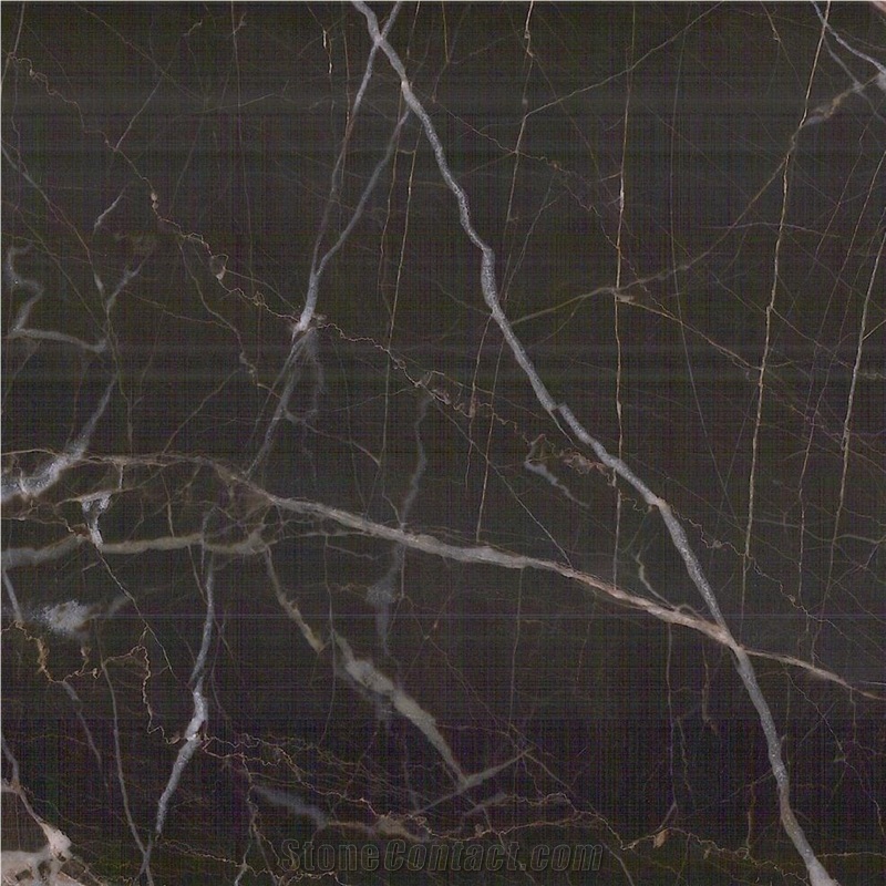Nero St Laurent Marble importance=