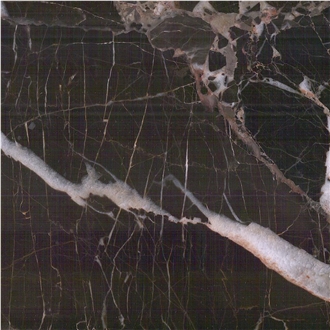 Nero St Laurent Marble Tile