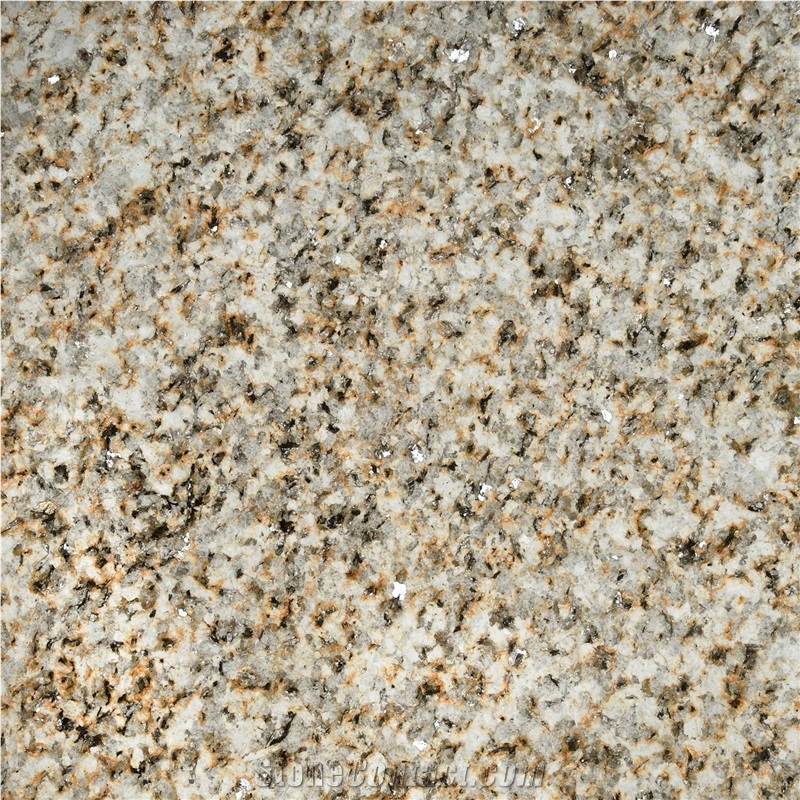 Silvestre Moreno Costa Granite Tile