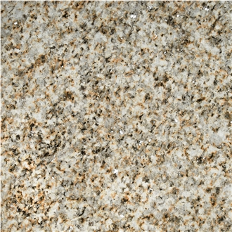 Silvestre Moreno Costa Granite Tile