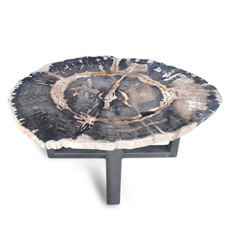 Petrified Wood Round Slab Coffee Table