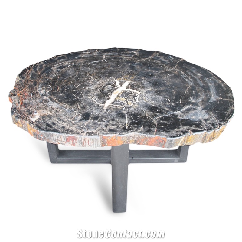 Petrified Wood Round Slab Coffee Table