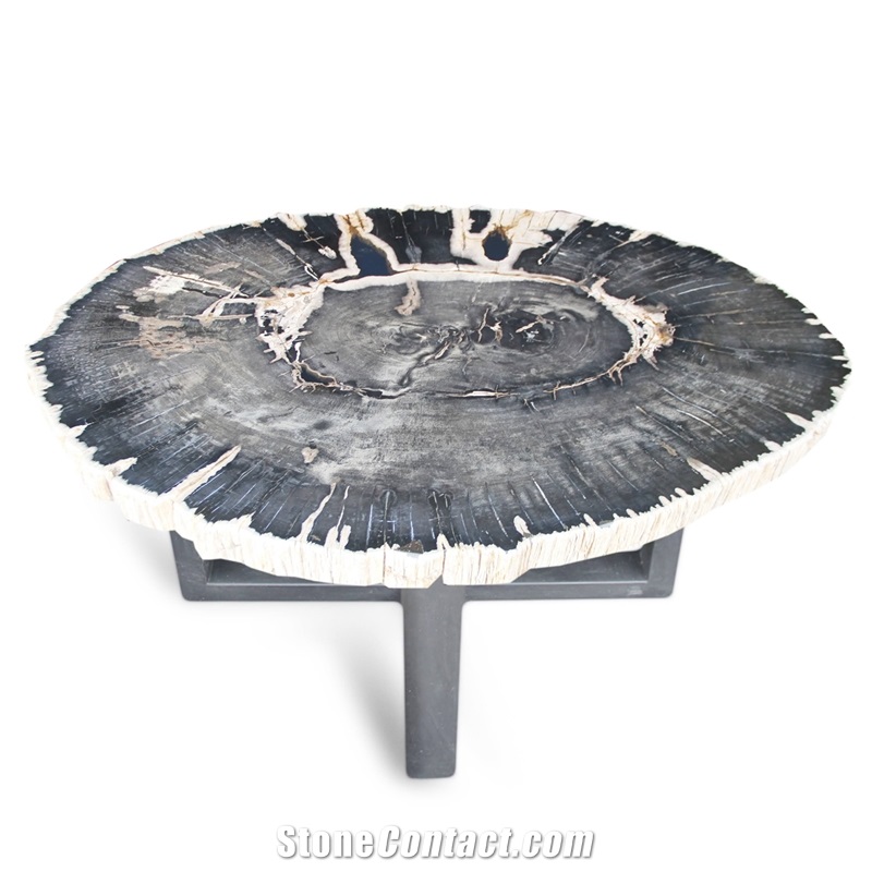 Petrified Wood Round Slab Coffee Table