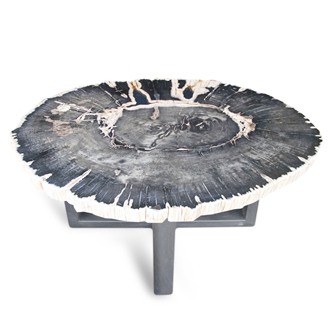 Petrified Wood Round Slab Coffee Table