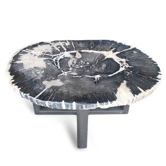 Petrified Wood Round Slab Coffee Table