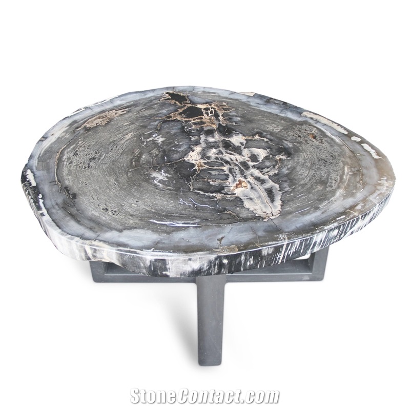 Petrified Wood Round Slab Coffee Table