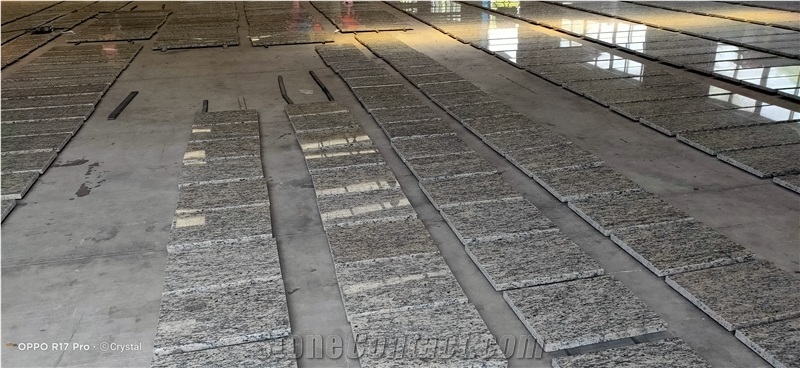Pure Natural Cut To Size Giallo Santa Cecilia Granite Tiles