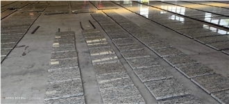 Pure Natural Cut To Size Giallo Santa Cecilia Granite Tiles