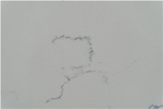 Popular White Quartz Carrara Slabs  Artificial Carrara