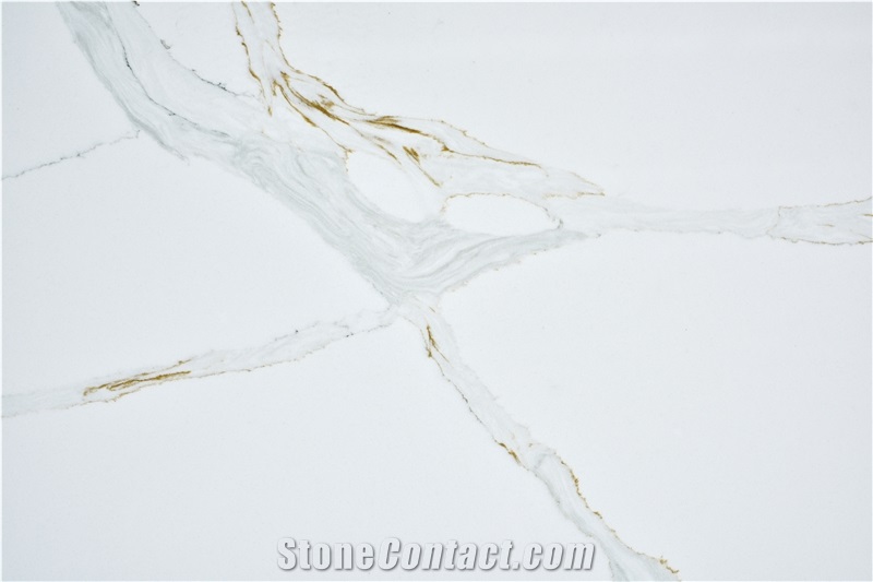 Polished Calacatta Gold Quartz Slabs