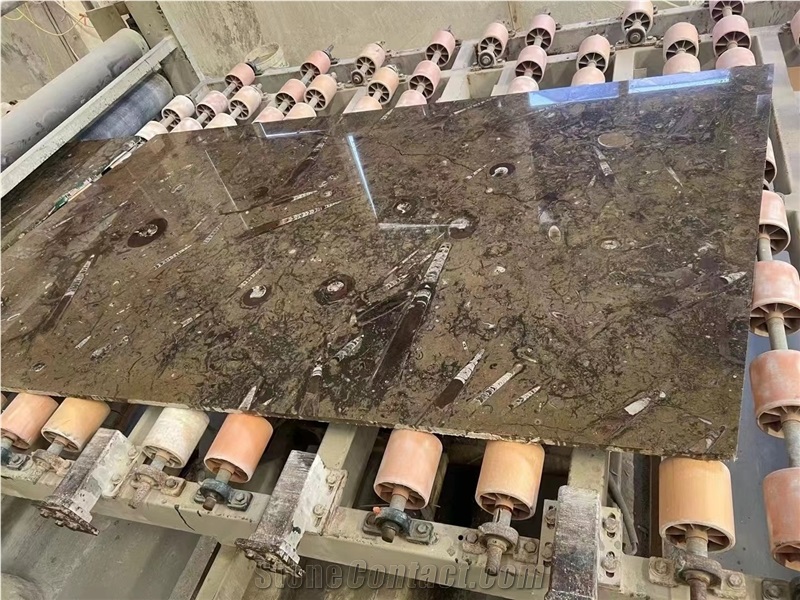 Marble Fossil Brown Slabs For Kitchen Floor Tiles