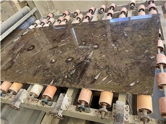 Marble Fossil Brown Slabs For Kitchen Floor Tiles
