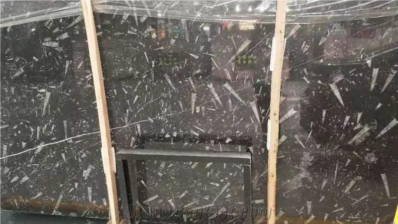 Marble Fossil Brown Slabs For Kitchen Floor Tiles