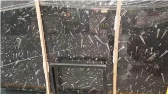 Marble Fossil Brown Slabs For Kitchen Floor Tiles