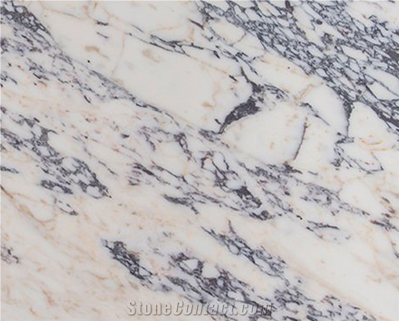 Afyon Calacatta Violet Marble Slabs