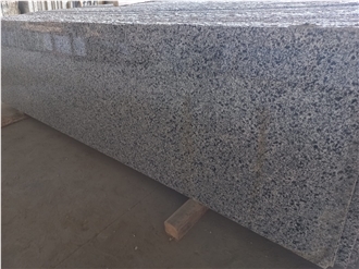 Grey Egyptian Granite New Halayeb Slabs