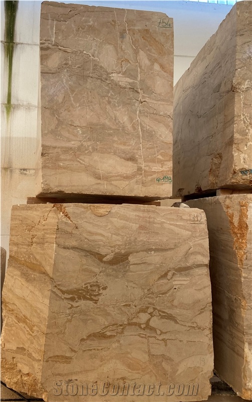 Breccia Oniciata Marble Blocks Italy