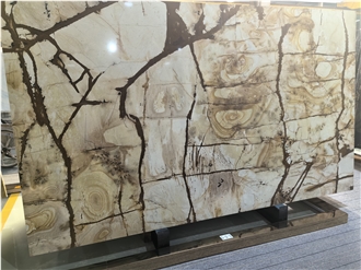 Golden Butterfly Quartzite Slabs