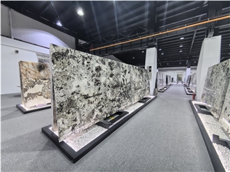 Polished Berillo Quartzite Slabs